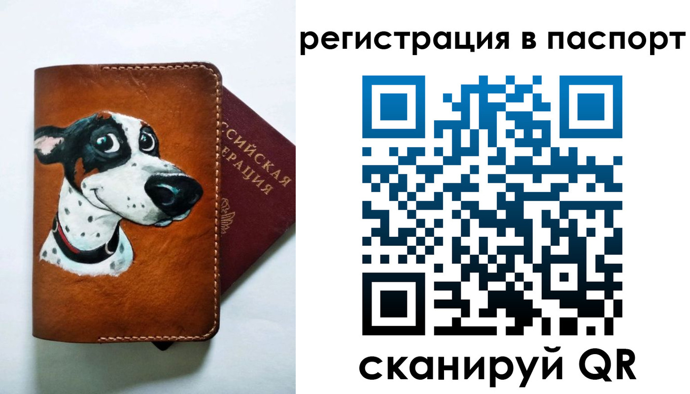 прописка штамп в Армавире
